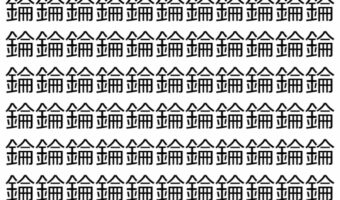 【脳トレ】「錀」の中に紛れて1つ違う文字がある！？あなたは何秒で探し出せるかな？？【違う文字を探せ！】