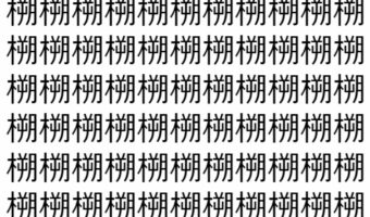 【脳トレ】「㮶」の中に紛れて1つ違う文字がある!?あなたは何秒で探し出せるかな??【違う文字を探せ!】
