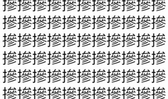 【脳トレ】「摻」の中に紛れて1つ違う文字がある！？あなたは何秒で探し出せるかな？？【違う文字を探せ！】