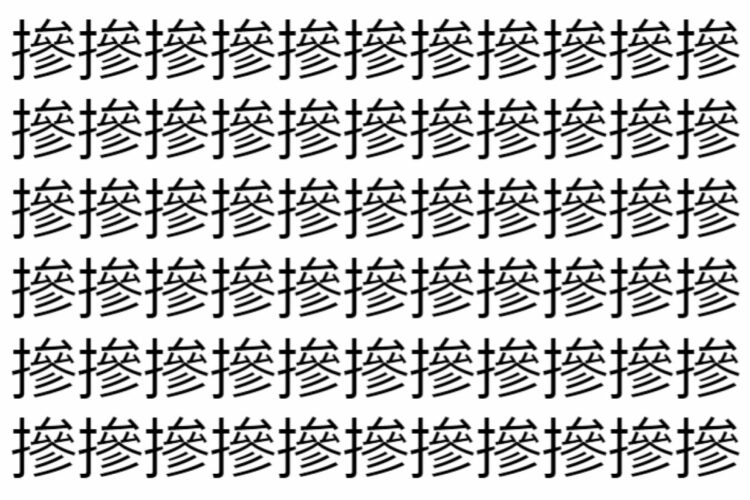 【脳トレ】「摻」の中に紛れて1つ違う文字がある！？あなたは何秒で探し出せるかな？？【違う文字を探せ！】