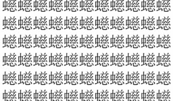 【脳トレ】「䗹」の中に紛れて1つ違う文字がある!?あなたは何秒で探し出せるかな??【違う文字を探せ!】