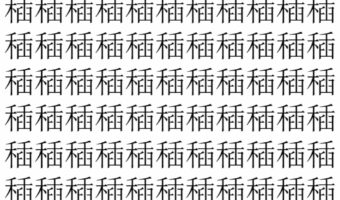 【脳トレ】「䅤」の中に紛れて1つ違う文字がある!?あなたは何秒で探し出せるかな??【違う文字を探せ!】