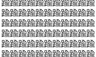 【脳トレ】「踰」の中に紛れて1つ違う文字がある！？あなたは何秒で探し出せるかな？？【違う文字を探せ！】