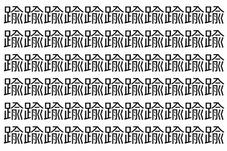 【脳トレ】「踰」の中に紛れて1つ違う文字がある！？あなたは何秒で探し出せるかな？？【違う文字を探せ！】