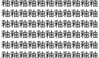 【脳トレ】「釉」の中に紛れて1つ違う文字がある!?あなたは何秒で探し出せるかな??【違う文字を探せ!】