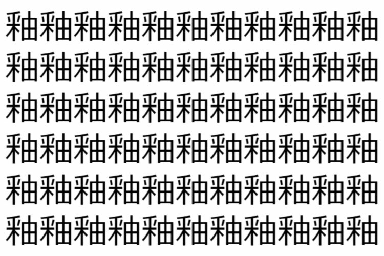 【脳トレ】「釉」の中に紛れて1つ違う文字がある！？あなたは何秒で探し出せるかな？？【違う文字を探せ！】