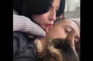 ネコはヤキモチ焼き？飼い主さんにお母さんがキスするのはOK。だけど恋人が相手だと・・【海外・動画】