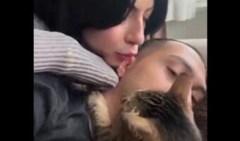 ネコはヤキモチ焼き?飼い主さんにお母さんがキスするのはOK。だけど恋人が相手だと・・【海外・動画】