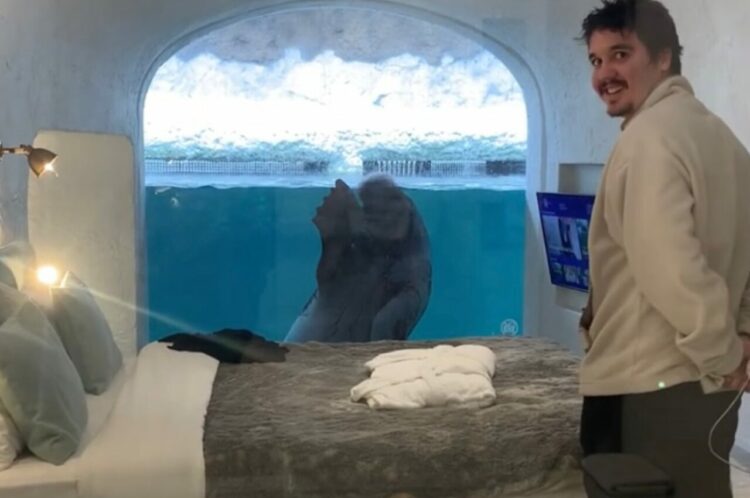 一度泊まってみたい！客室から水族館の人気者を好きなだけ眺められる贅沢なホテルが話題に【海外・動画】