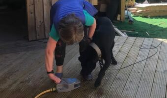 まるでコント！？飼い主さんに驚かされた愛犬が仕返しに打って出た！！【海外・動画】