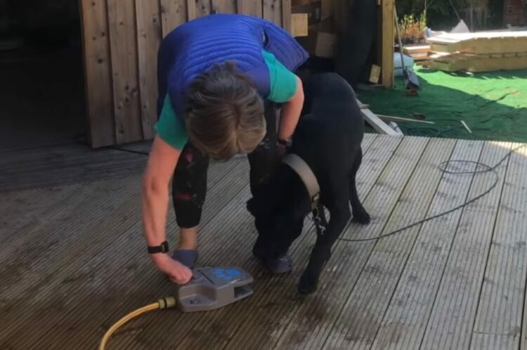 まるでコント！？飼い主さんに驚かされた愛犬が仕返しに打って出た！！【海外・動画】