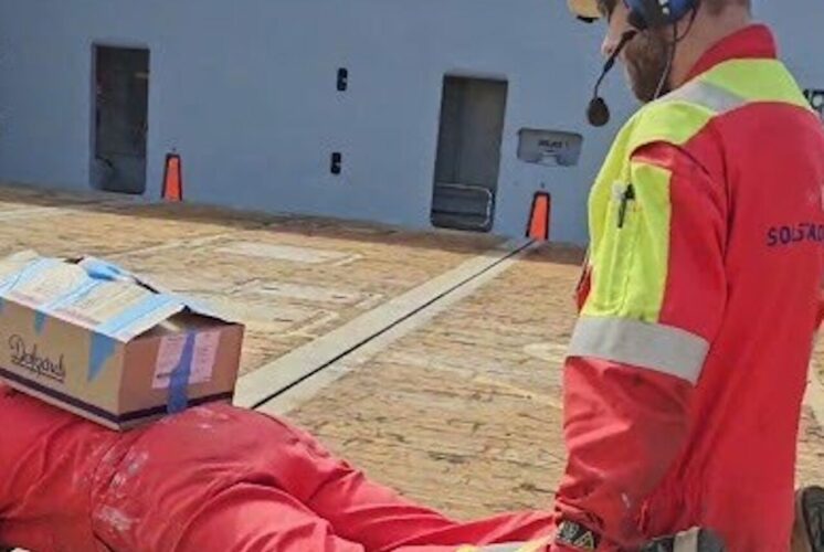 鍛え上げられた肉体が！猫車代わりに大活躍！！