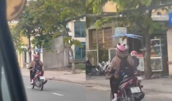 バイクの運転手に執拗に絡んでいるオウム。ヘルメットが気になって仕方がない？？【海外・動画】