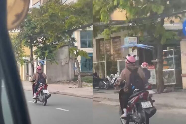 バイクの運転手に執拗に絡んでいるオウム。ヘルメットが気になって仕方がない？？【海外・動画】