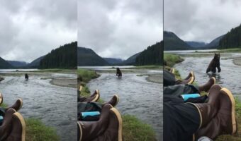 【恐怖映像】間近まで熊が迫ってきた!息を殺して過ぎ去るのを待つ緊迫の情況に手に汗握る