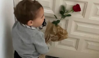 おばあちゃんにバラをプレゼント!だけどキレイな花でドアをノックしちゃったので・・【海外・動画】