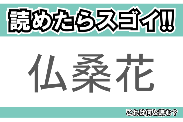 【読めたらスゴイ！】「仏桑花」とは一体何のこと！？南国のイメージの強いある植物の事ですが・・、この漢字を読めますか？