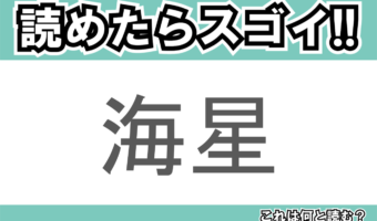 【読めたらスゴイ！】「海星」とは一体何のこと！？形が独特な海の生き物のことですが・・この漢字を読めますか？