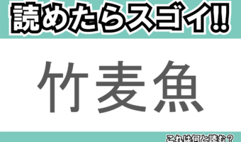 【読めたらスゴイ!】「竹麦魚」とは一体何のこと!?羽根の生えたあの魚の事ですが・・、この漢字を読めますか?