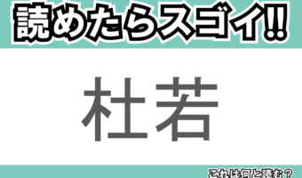 【読めたらスゴイ!】「杜若」とは一体何のこと!?高貴・思慕といった花言葉のある植物ですが・・、この漢字を読めますか?