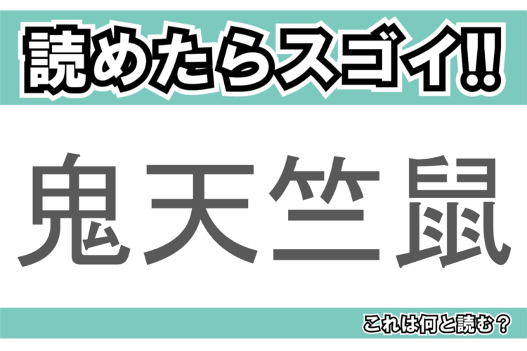 【読めたらスゴイ！】「鬼天竺鼠」とは一体何のこと！？動物園でも人気の生き物ですが・・、この漢字を読めますか？