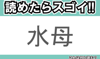 【読めたらスゴイ!】「水母」とは一体何のこと!?水中でゆらゆら揺れるある生物のことですが・・この漢字を読めますか?