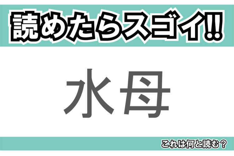 【読めたらスゴイ！】「水母」とは一体何のこと！？水中でゆらゆら揺れるある生物のことですが・・この漢字を読めますか？