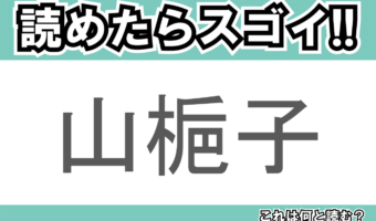 【読めたらスゴイ!】「山梔子」とは一体何のこと!!名前の由来になっている果実が特徴的ですが、この漢字を読めますか?