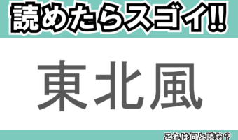 【読めたらスゴイ！】「東北風」とは何と読む？東北の方角からの風を指すようですが・・