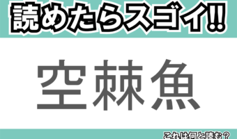 【読めたらスゴイ!】「空棘魚」とは一体何のこと!?「生きた化石」と呼ばれる生物なのですが・・・この漢字を読めますか?