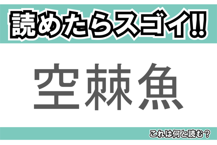 【読めたらスゴイ！】「空棘魚」とは一体何のこと！？「生きた化石」と呼ばれる生物なのですが・・・この漢字を読めますか？