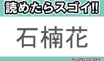 【読めたらスゴイ!】「石楠花」とは一体何のこと!?赤い大輪な花を咲かせる植物の事ですが・・この漢字を読めますか?