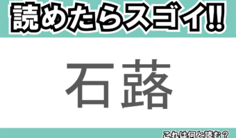 【読めたらスゴイ!】「石蕗」とは一体何のこと!?謙遜・困難に負けないといった花言葉のある植物ですが・・・この漢字を読めますか?