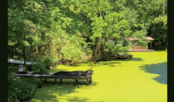 今日の釣りは中止だ!中止にせざるを得なかったビックリな理由とは!?【アメリカ・動画】