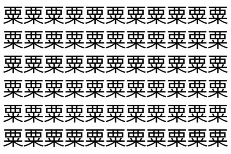 【脳トレ】「粟」の中に紛れて1つ違う文字がある！？あなたは何秒で探し出せるかな？？【違う文字を探せ！】