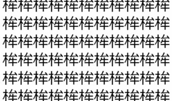 【脳トレ】「桙」の中に紛れて1つ違う文字がある!?あなたは何秒で探し出せるかな??【違う文字を探せ!】