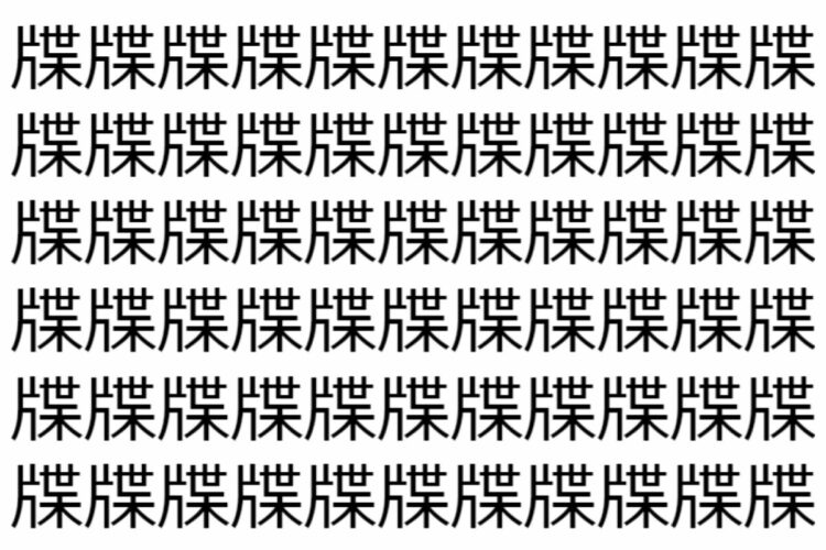 【脳トレ】「牒」の中に紛れて1つ違う文字がある！？あなたは何秒で探し出せるかな？？【違う文字を探せ！】