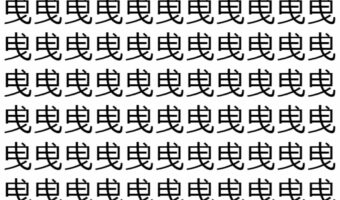 【脳トレ】「曵」の中に紛れて1つ違う文字がある!?あなたは何秒で探し出せるかな??【違う文字を探せ!】