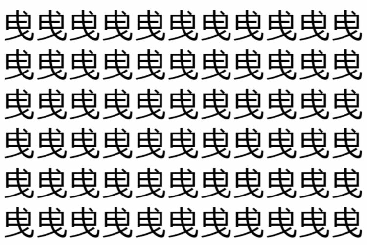 【脳トレ】「曵」の中に紛れて1つ違う文字がある！？あなたは何秒で探し出せるかな？？【違う文字を探せ！】
