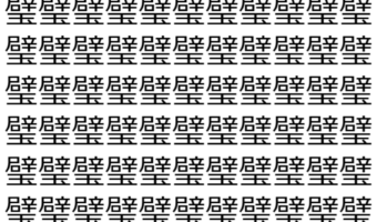 【脳トレ】「璧」の中に紛れて1つ違う文字がある!?あなたは何秒で探し出せるかな??【違う文字を探せ!】