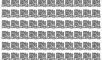 【脳トレ】「颮」の中に紛れて1つ違う文字がある!?あなたは何秒で探し出せるかな??【違う文字を探せ!】