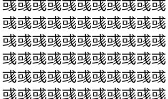 【脳トレ】「彧」の中に紛れて1つ違う文字がある!?あなたは何秒で探し出せるかな??【違う文字を探せ!】