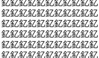 【脳トレ】「釔」の中に紛れて1つ違う文字がある！？あなたは何秒で探し出せるかな？？【違う文字を探せ！】