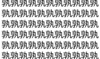 【脳トレ】「孰」の中に紛れて1つ違う文字がある！？あなたは何秒で探し出せるかな？？【違う文字を探せ！】