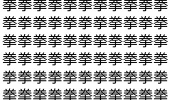 【脳トレ】「拳」の中に紛れて1つ違う文字がある！？あなたは何秒で探し出せるかな？？【違う文字を探せ！】