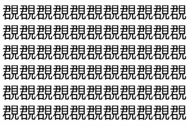 【脳トレ】「覠」の中に紛れて1つ違う文字がある！？あなたは何秒で探し出せるかな？？【違う文字を探せ！】