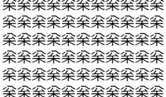 【脳トレ】「枀」の中に紛れて1つ違う文字がある!?あなたは何秒で探し出せるかな??【違う文字を探せ!】