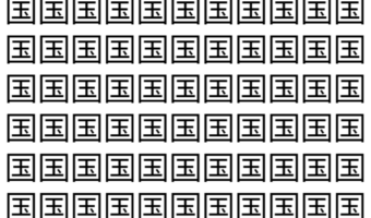 【脳トレ】「国」の中に紛れて1つ違う文字がある！？あなたは何秒で探し出せるかな？？【違う文字を探せ！】