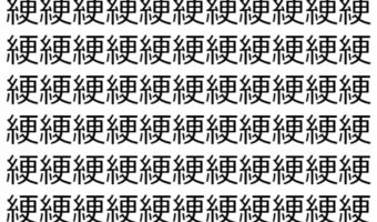 【脳トレ】「綆」の中に紛れて1つ違う文字がある!?あなたは何秒で探し出せるかな??【違う文字を探せ!】