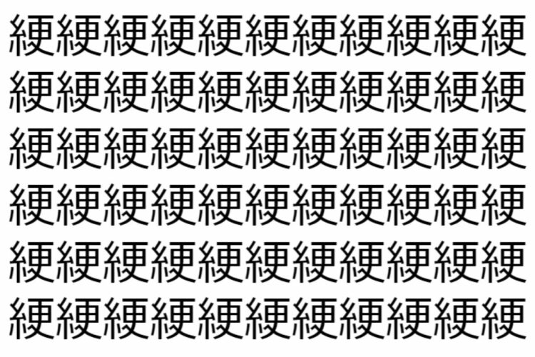 【脳トレ】「綆」の中に紛れて1つ違う文字がある！？あなたは何秒で探し出せるかな？？【違う文字を探せ！】